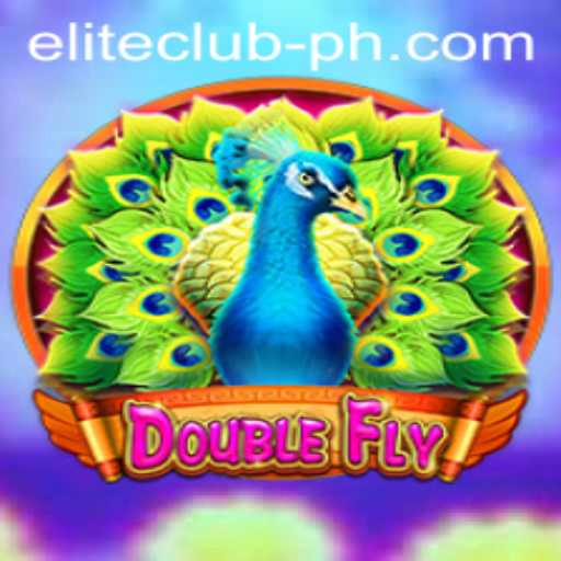 In-Depth Exploration of DoubleFly: The ELITE CLUB Experience