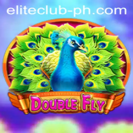 In-Depth Exploration of DoubleFly: The ELITE CLUB Experience